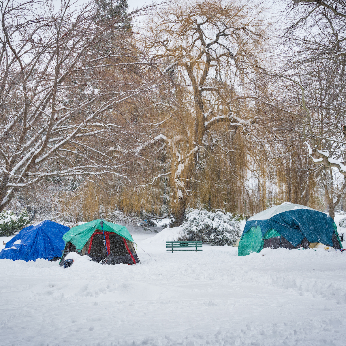 Winter encampments